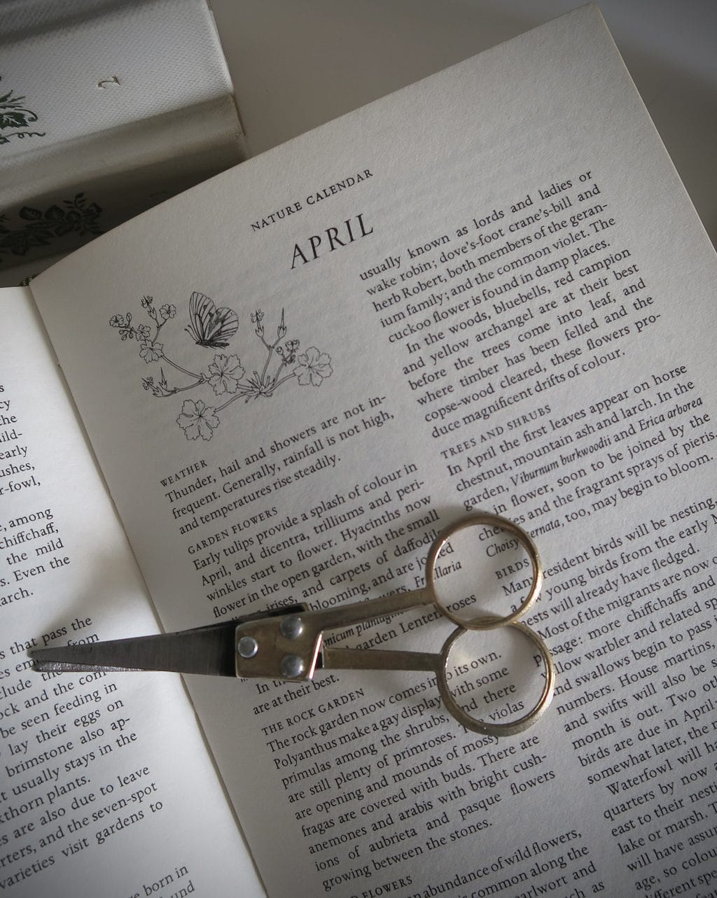 styling-the-seasons-april-1