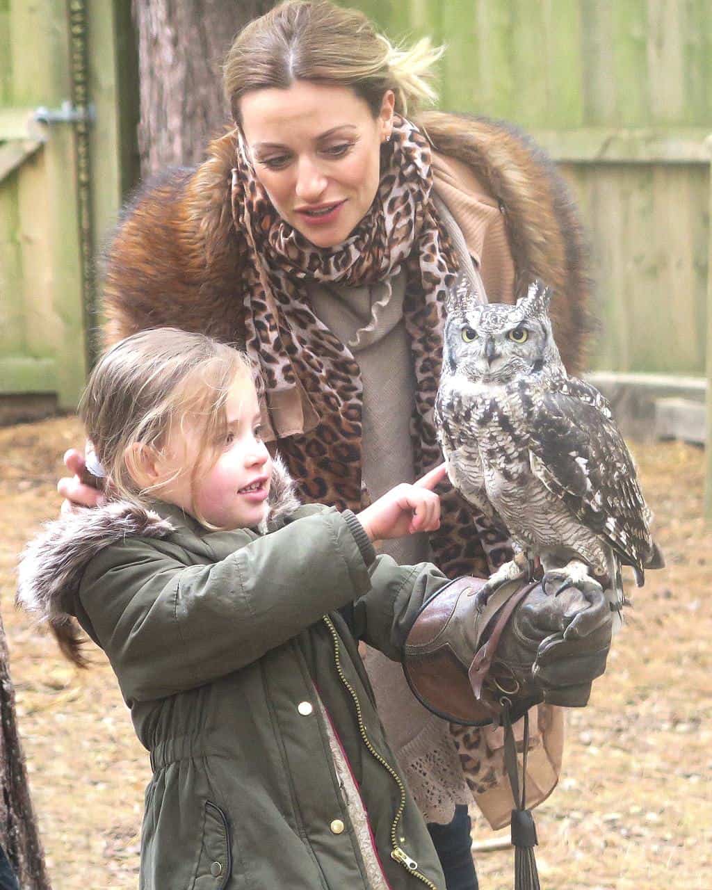 An Encounter with Owls Experience — Sherwood Forest Center Parc
