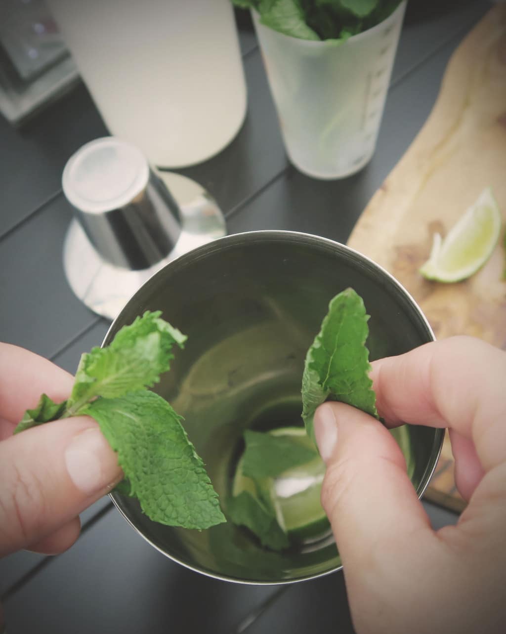 recipe to show how to make the perfect Mojito